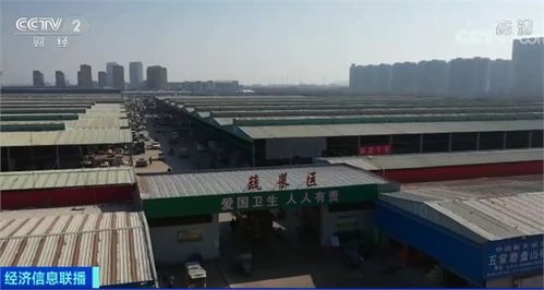 从零售到批发,价格一路上扬 这些蔬菜 坐火箭 记者探访发现